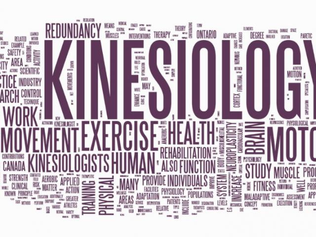 Recherche de bien-être et de sens dans votre vie : opter pour la Kinésiologie.